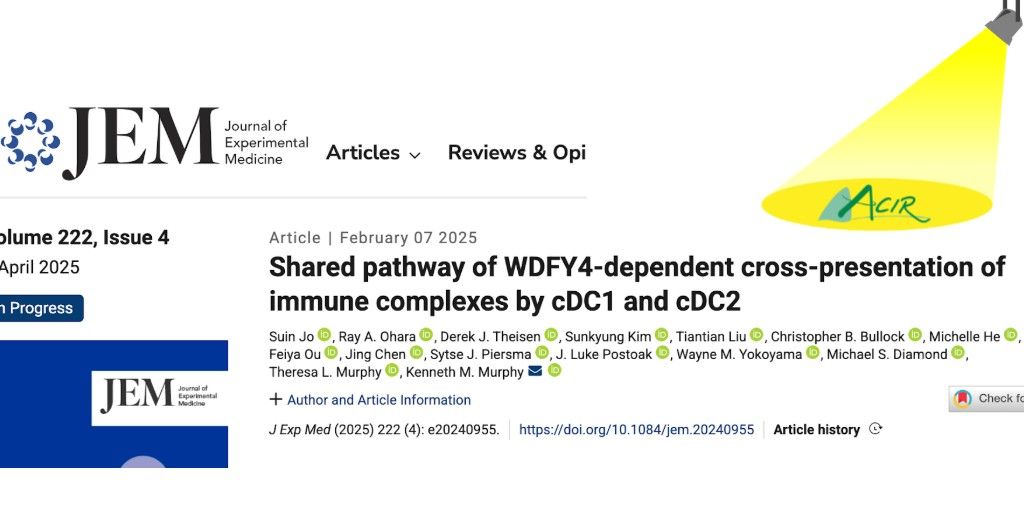 ACIR (@acir_org) on Twitter photo Jo et al. characterized cDC1 (Δ32 mice)- and cDC2 (Δ1+2+3 mice)-deficient mouse models and evaluated the role of DC subsets in the priming of CD4+ and CD8+ T cells in response to several forms of antigen in vivo. bit.ly/4kl513J <a href="/washumedicine/">WashU Medicine</a> <a href="/WUSTLImmuno/">WUSTL Immunology</a> Jo et al. characterized cDC1 (Δ32 mice)- and cDC2 (Δ1+2+3 mice)-deficient mouse models and evaluated the role of DC subsets in the priming of CD4+ and CD8+ T cells in response to several forms of antigen in vivo. bit.ly/4kl513J <a href="/washumedicine/">WashU Medicine</a> <a href="/WUSTLImmuno/">WUSTL Immunology</a>