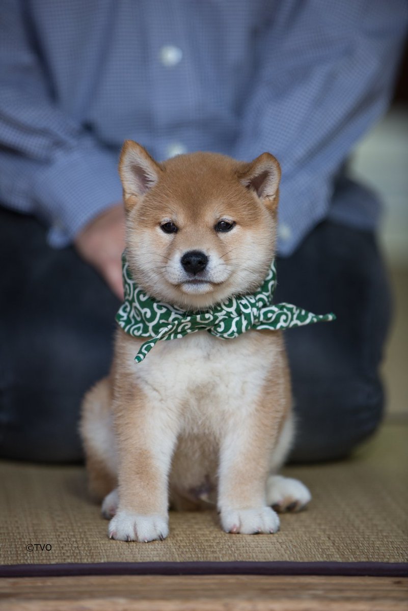 GlHcIVraQAAbO8Q.jpg?format=jpg