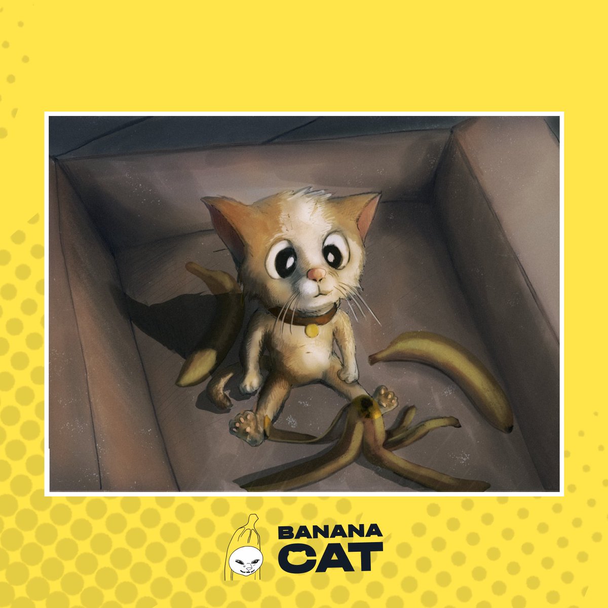 toncats_tg's tweet photo. #TONCats #TONCatsGang #BananaCatBegins #PawPowerAwakens #Chapter1 #Drop5 https://t.co/ofOCLcUaYs