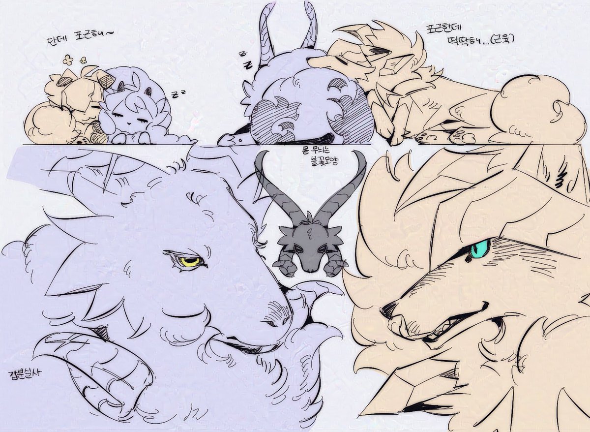 배우루단황혼루가금  DNKB