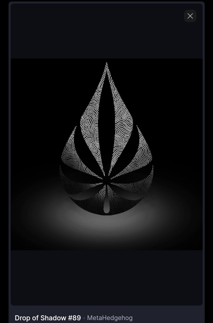 Mlle AC 🫟 tweet media