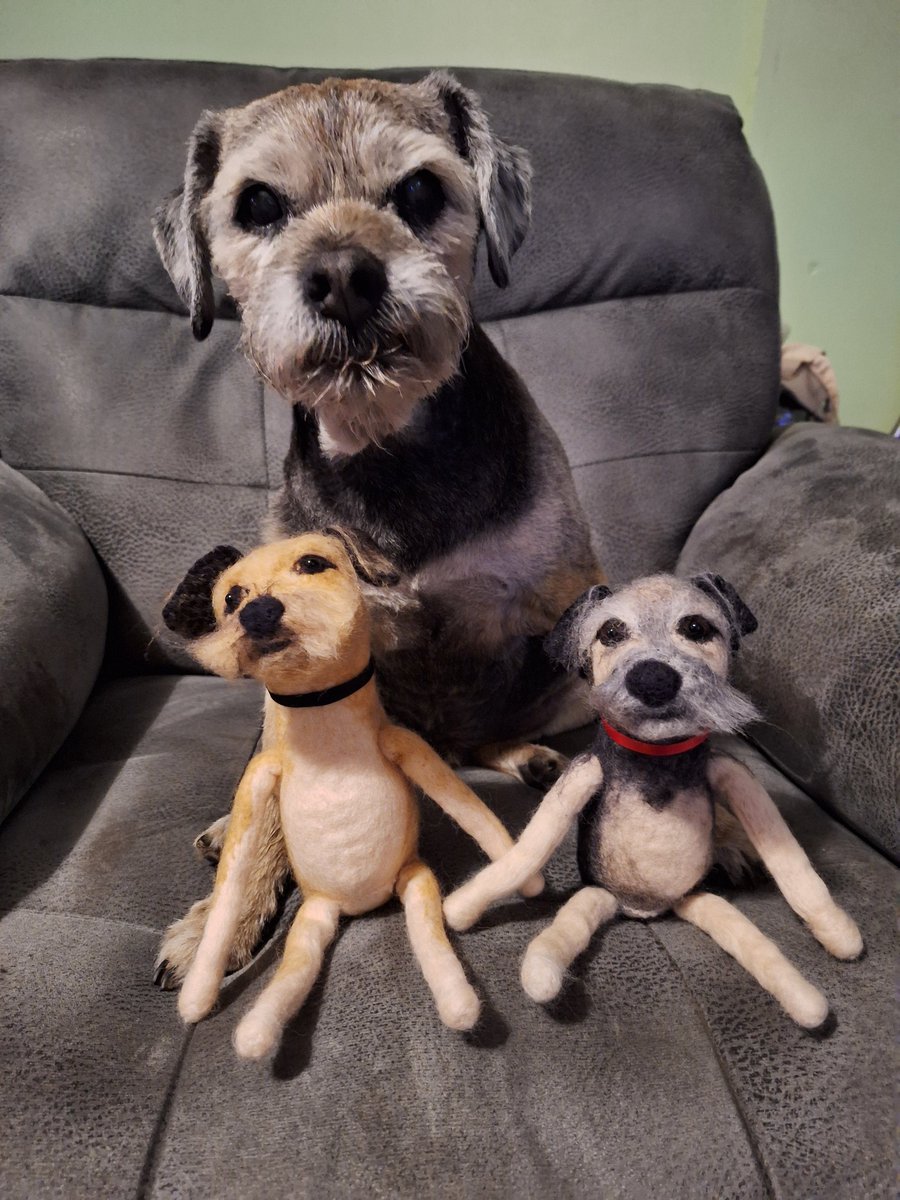 Sir Takoda, MBE and CBE💙 (@bakodabt) on Twitter photo Had a furbulous delivery today. A teddy model of me and my bro Bosie, made by the fabulously talented Mum of our caikey queen Heidi <a href="/HeidiBT3/">HeidiBT3 Lady caikey member of the house of woofs</a> (<a href="/StephCowburn/">Stephanie Cowburn</a>). They are superb, we're so pleased with them.
#BTPosse Had a furbulous delivery today. A teddy model of me and my bro Bosie, made by the fabulously talented Mum of our caikey queen Heidi <a href="/HeidiBT3/">HeidiBT3 Lady caikey member of the house of woofs</a> (<a href="/StephCowburn/">Stephanie Cowburn</a>). They are superb, we're so pleased with them.
#BTPosse