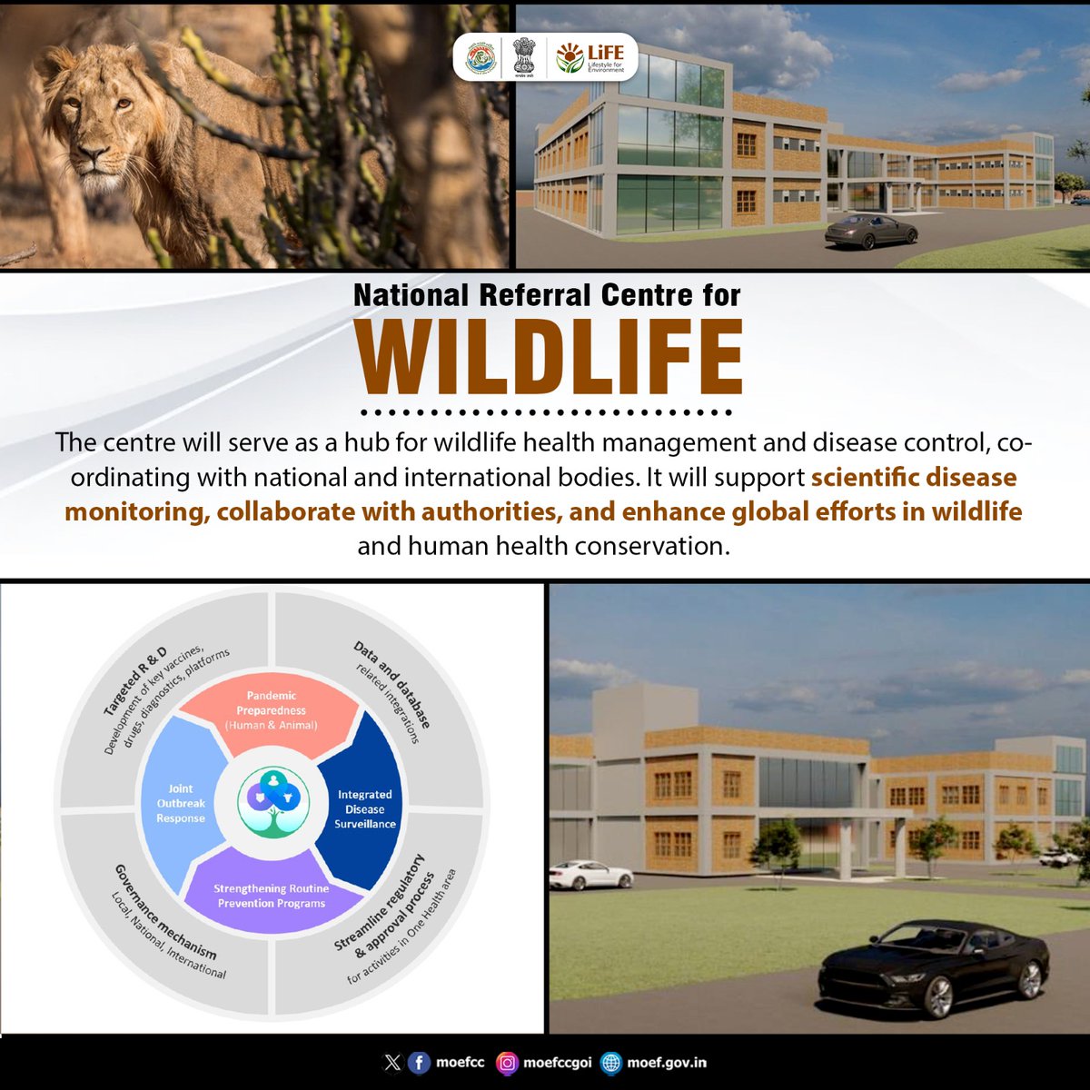 National Referral Centre for WILDLIFE

The centre will serve as a hub for wildlife health management and disease control, co-ordinating with national and international bodies. #WorldWildlifeDay