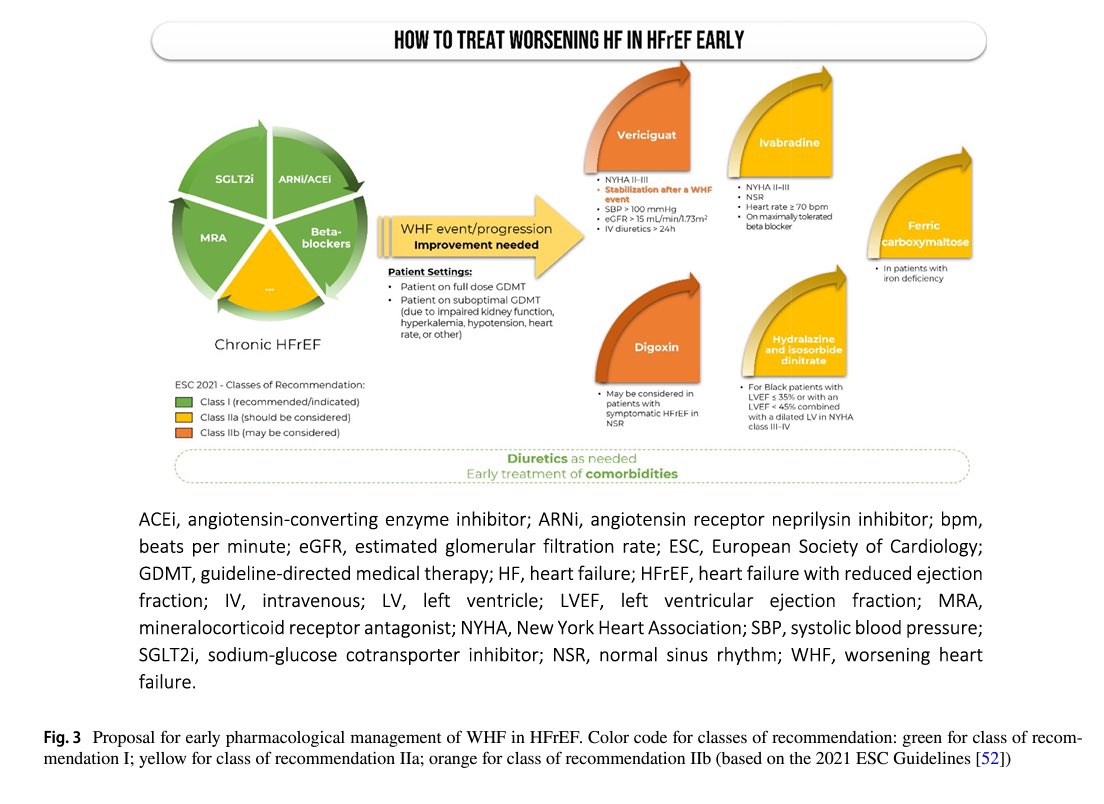 EMPEORAMIENTO DE LA INSUFICIENCIA CARDÍACA 🫀🌬️

🔴Marcador mal pronóstico ⏩️ 🏥 y ⚰️
🔴Precipitantes: infecciones, arritmias, isquemia, falla renal, etc
🔴Prevención: TMO, comorbilidades, educar 🧑‍🧒‍🧒
🔴Detección: clínica, biomarcadores, #EchoFirst, capacidad funcional