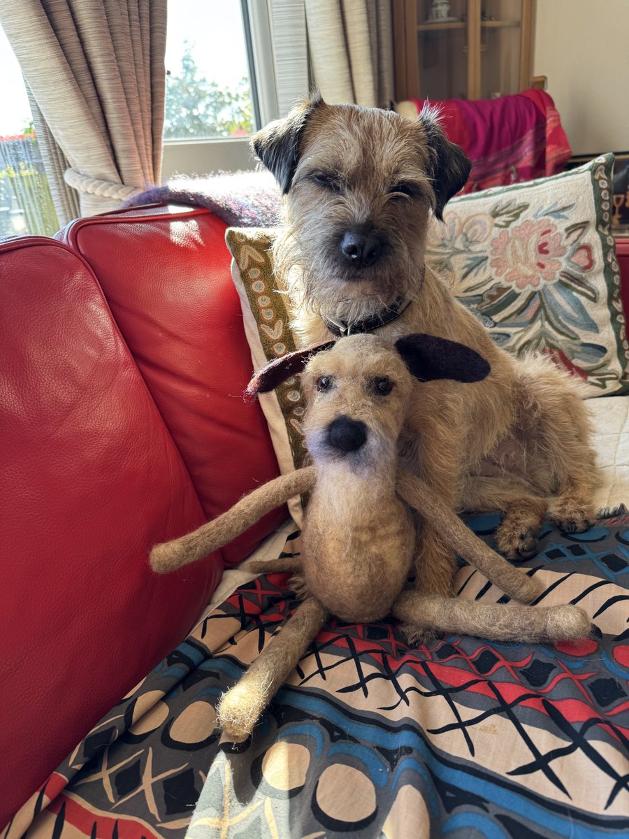 Christine Ramos Roberts 🇺🇦🇨🇦 (@diamondbertie) on Twitter photo <a href="/BakodaBt/">Sir Takoda, MBE and CBE💙</a> <a href="/HeidiBT3/">HeidiBT3 Lady caikey member of the house of woofs</a> <a href="/StephCowburn/">Stephanie Cowburn</a> That’s lovely
This was made of Bertie
I dare not leave it with Barra, she’s likely to think is a toy for her.
So I keep it safe from those teeth <a href="/BakodaBt/">Sir Takoda, MBE and CBE💙</a> <a href="/HeidiBT3/">HeidiBT3 Lady caikey member of the house of woofs</a> <a href="/StephCowburn/">Stephanie Cowburn</a> That’s lovely
This was made of Bertie
I dare not leave it with Barra, she’s likely to think is a toy for her.
So I keep it safe from those teeth