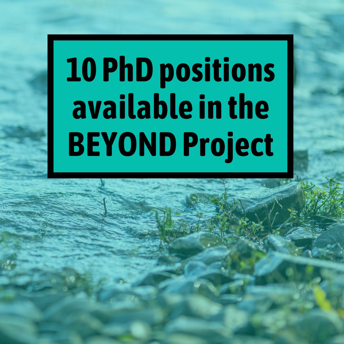 Interested in pursuing a PhD in #freshwaterscience?

10 PhD positions are available in the #BEYONDProject to Transform Europe's #WaterQuality Amidst Global Change. Deadline for applications: 15 March 2025.
Apply via the BEYOND form:
forms.gle/rKrwomLcZr7Dwm… slu.se/beyond