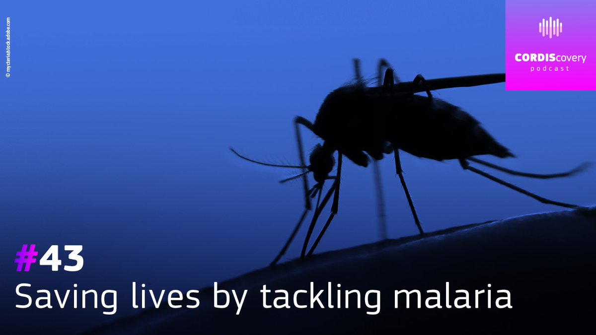 KurtSirejacob's tweet image. Malaria remains a significant global health challenge.

This episode of the #CORDIScovery podcast dives deep into the EU-funded research tackling placental malaria during infection. 

👇europa.eu/!mXm4D7