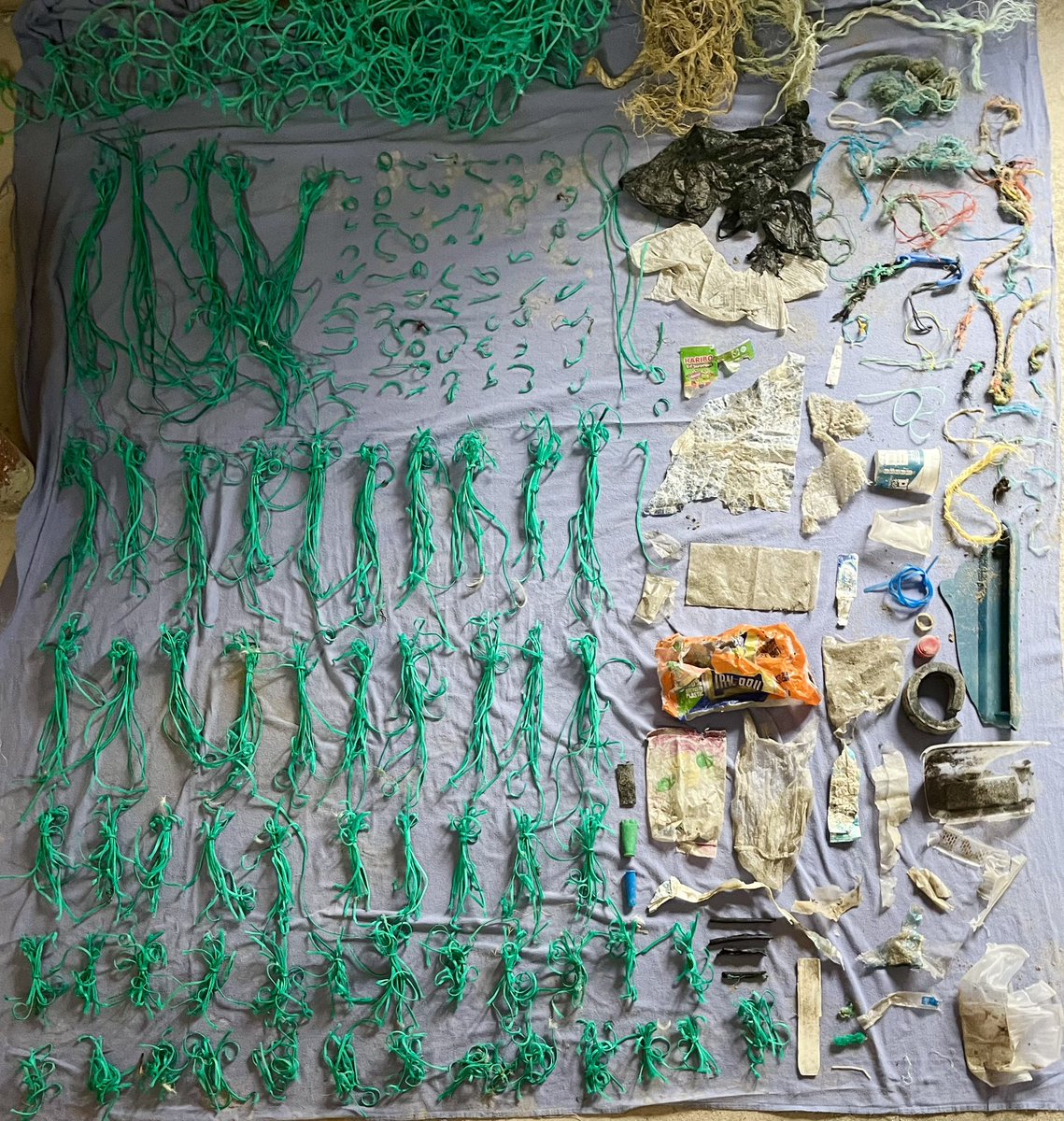 OceanGives~WhaleSongTiree tweet media