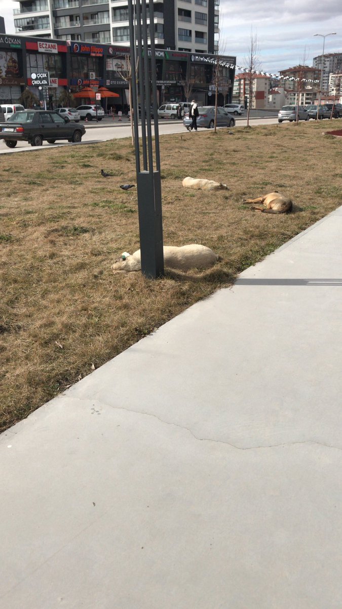 Ankara onkoloji hastanesi önündeki parkın bugünkü durumu..!!?