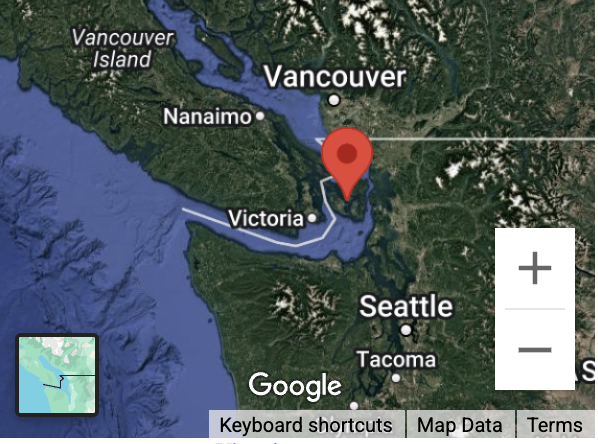 John Cassidy tweet media