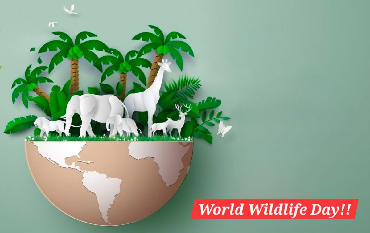 🌿 Wildlife Conservation Finance: Investing in People and Planet 🌍

Join the movement. Invest in nature. 🌱💚 #WildlifeFinance #InvestInNature #SustainableFuture #PeopleAndPlanet #sicher #SicherUK #sicherdental #dxsicher #dxdentalburs #dxburs #sicherdx #sicherdentalgermany