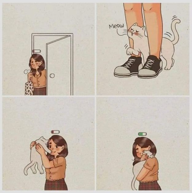 WholesomeMemes (@wholesomememe) on Twitter photo 