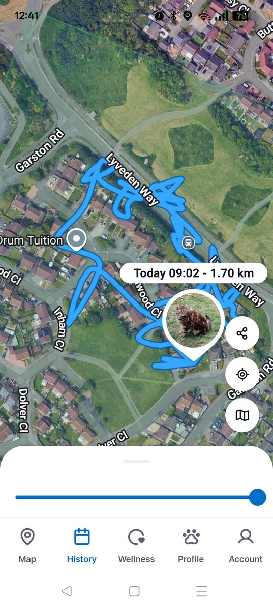 Saturday morning I had to go and retrieve Florrie's collar. 
Monday Morning Florrie is tracking why I have been searching in the local hedge. 
#Hedgewatch #TrackerHunter