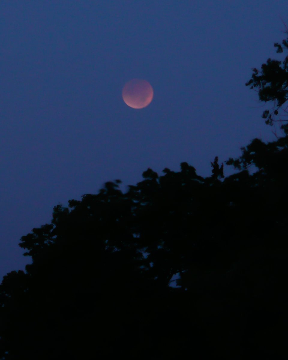 RASCNiagara's tweet photo. There will be a total eclipse of the Moon on the night of Thursday, March 13. From Niagara, the eclipse will start at 11:57 p.m. and continue into Friday morning. The eclipse will peak at 2:58 am and finish at 6 am. The full Moon will turn dark red or dark grey. Pic, Aug 2017 https://t.co/j7FtN0lIPT