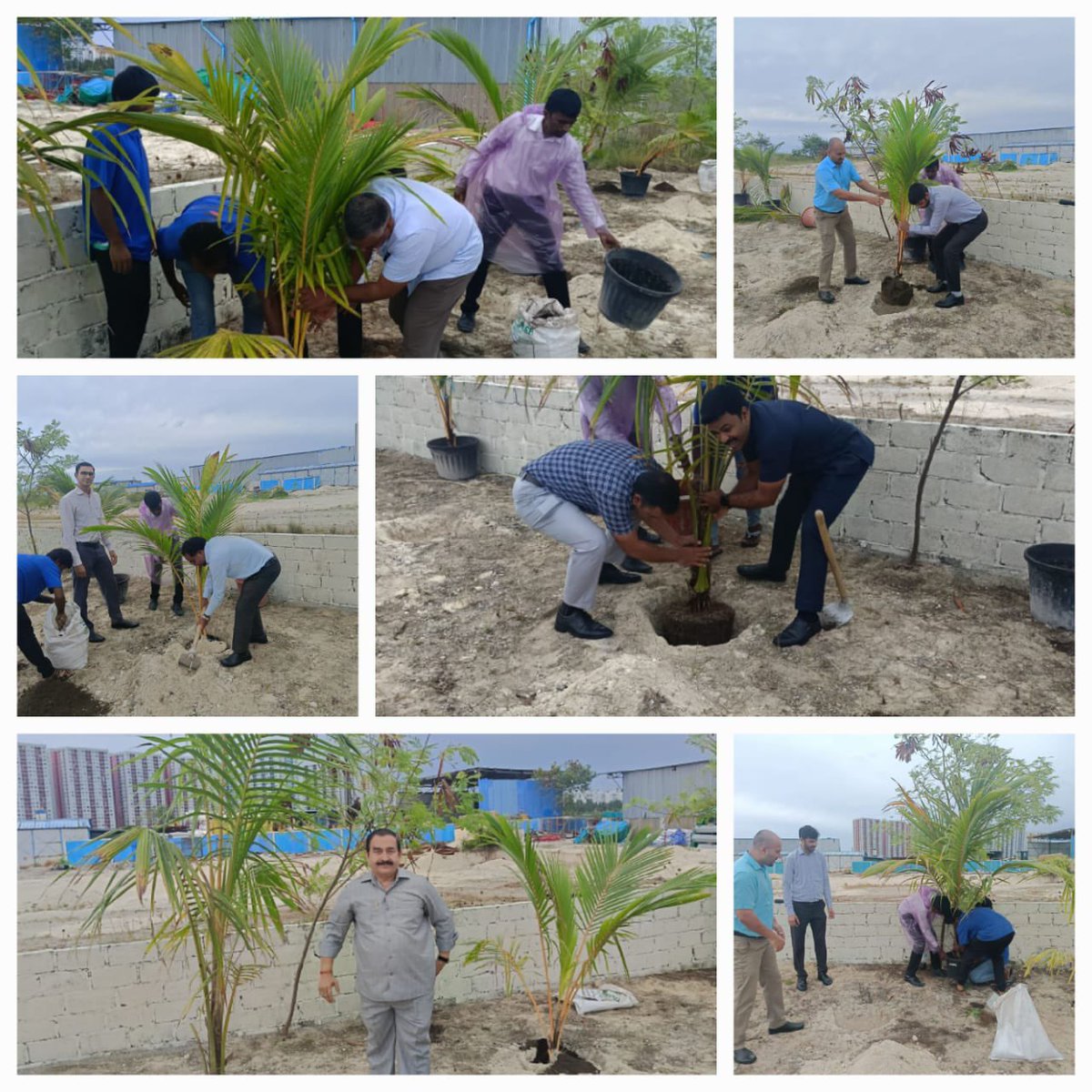 HCIMaldives's tweet photo. Sowing Seeds for a Greener Tomorrow!  
To mark 'World Wildlife day' &amp; carrying forward  the campaign #Plant4Mother (#एक_पेड़_माँ_के_नाम), launched by Hon’ble PM @narendramodi, HC Sh Balasubramanian &amp; HCI Officials planted saplings at the proposed Chancery Complex @Hulhumale Ph-II https://t.co/FVIeXlG0BV