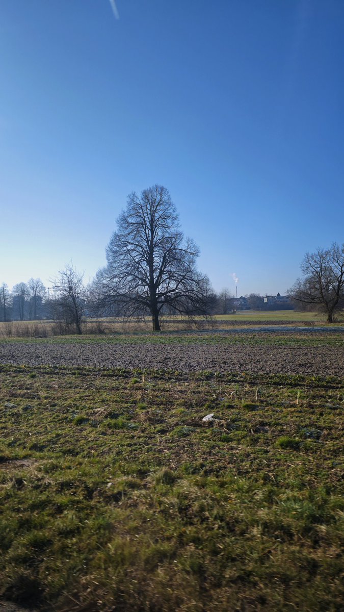 nadakoder's tweet image. Narava se prebuja👍