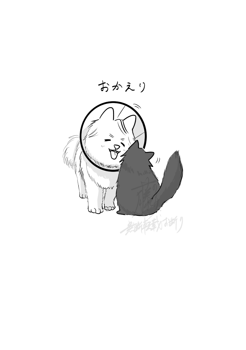 犬猫☔️兄弟ラクガキ 