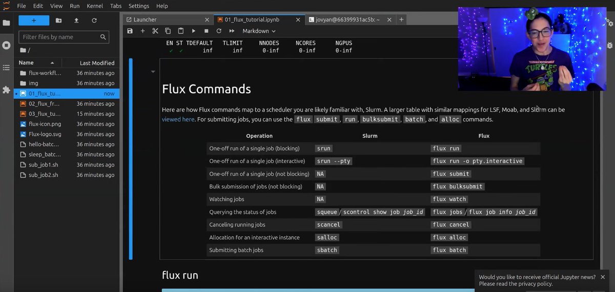 Good morning, and happy Monday folks! We have our first <a href="/FluxFramework/">Flux</a> dinosaur series notebook tutorial released this morning:

youtu.be/5qT4eyO0thw

We go through part 1 of the #HPCIC tutorial, basic commands for Flux, all in a #Jupyter notebook you can deploy too! 🥳