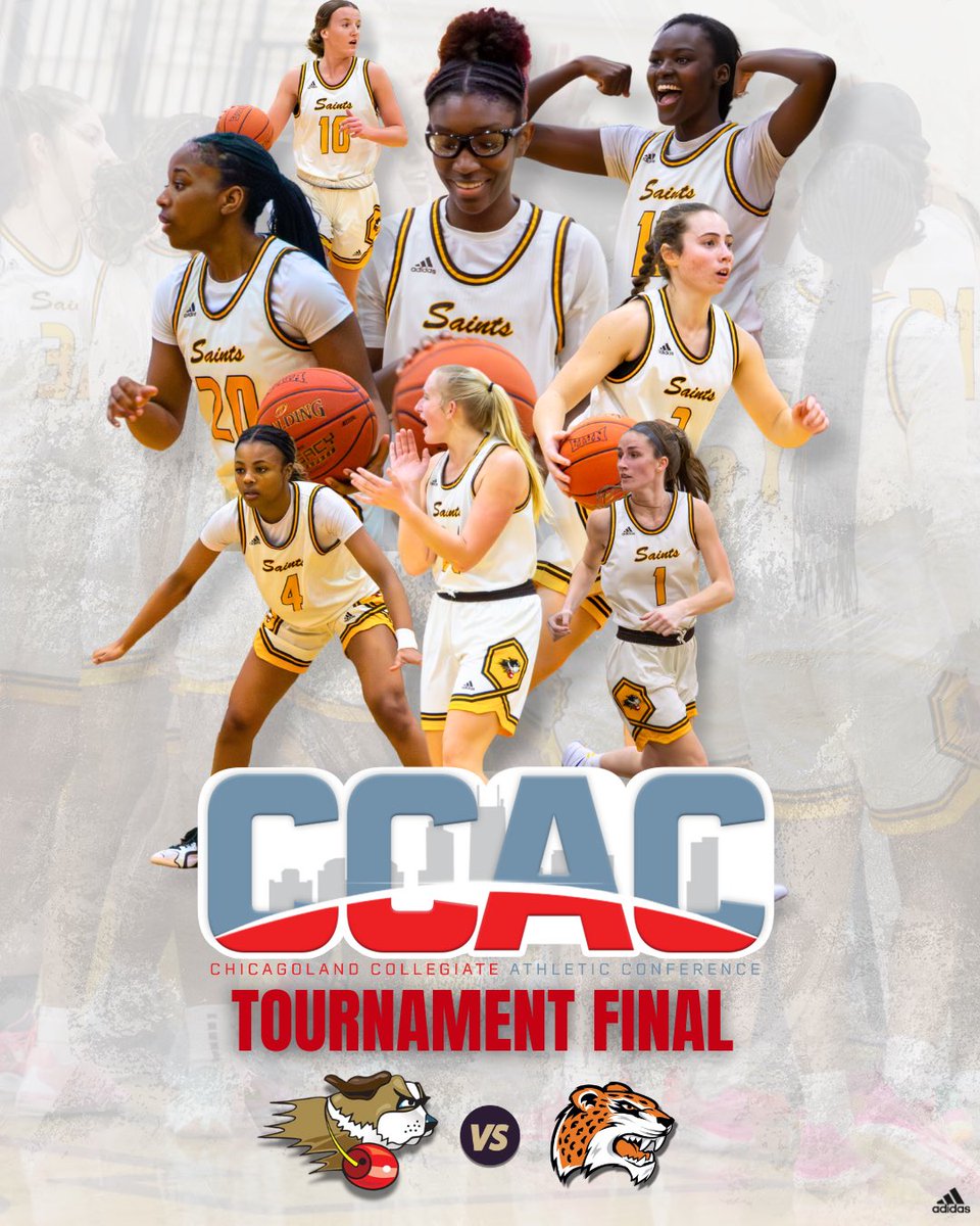 USF Women's Hoops tweet media