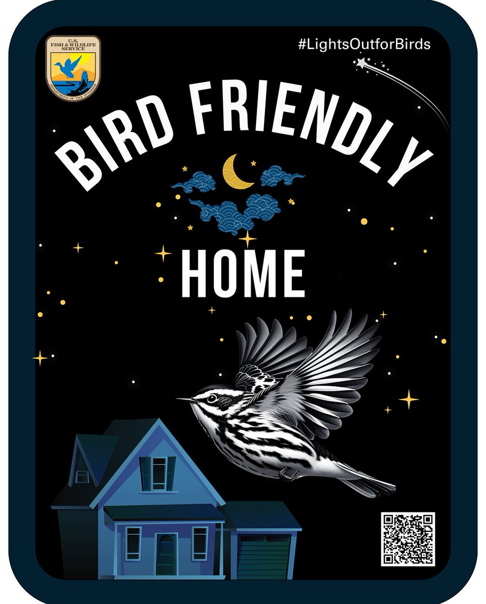 Feather Friendly (@featherfriendly) on Twitter photo When the <a href="/USFWS/">U.S. Fish and Wildlife Service</a> talks about bird-glass collisions, we listen.
Their Bird Collision Reduction Toolkit is a must-have resource for anyone serious about protecting birds.
Access the toolkit here: fws.gov/library/collec…
Credit for all images: Rosalie Wetzel/USFWS
#savebirds When the <a href="/USFWS/">U.S. Fish and Wildlife Service</a> talks about bird-glass collisions, we listen.
Their Bird Collision Reduction Toolkit is a must-have resource for anyone serious about protecting birds.
Access the toolkit here: fws.gov/library/collec…
Credit for all images: Rosalie Wetzel/USFWS
#savebirds