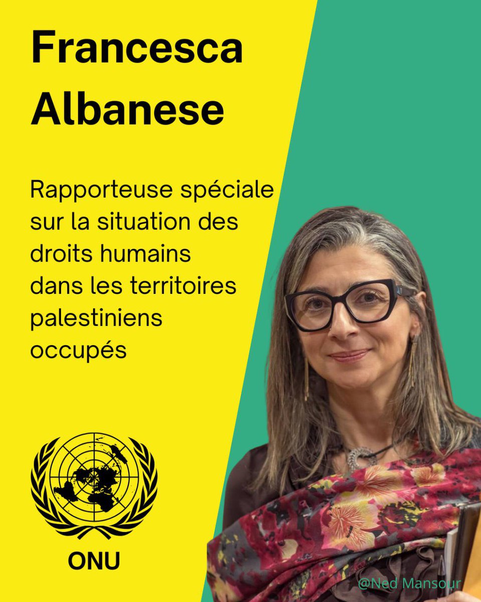 Plateforme Palestine (@pfpalestine) on Twitter photo 🟢 Découvrez la première invitée d’honneur des Assises pour la Palestine !
<a href="/FranceskAlbs/">Francesca Albanese, UN Special Rapporteur oPt</a>
(1/3) 🟢 Découvrez la première invitée d’honneur des Assises pour la Palestine !
<a href="/FranceskAlbs/">Francesca Albanese, UN Special Rapporteur oPt</a>
(1/3)