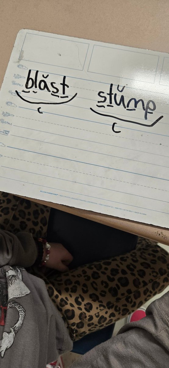 WBusenlehner's tweet image. These pandas are rocking it out, tapping out and marking up words with 5 sounds. @PboroElementary #OurPES #OneChatham