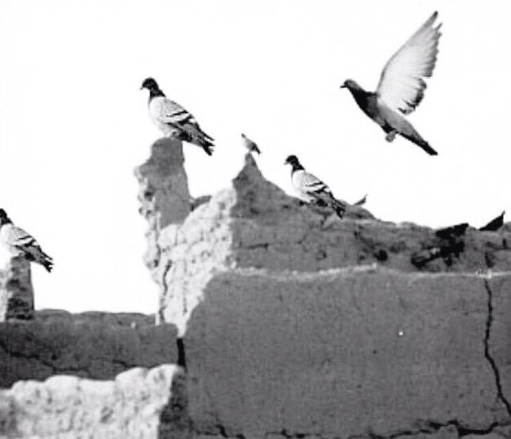 كثير من الشعراء تناول تاثير الفقد او الهجر لكن اتوقع مافيه اقوى وافضل من التشبيه في البيتين هذي على الاقل عندي :)  واللي يخالفني الراي يجيب مايثبت 👌

الا وجودي   وجد من  فارق الخلان 
وتناحت به الاقدار عن دار مضنونه 

حياتي  بدونه   مثل  بيتً بلى سكان 
كساه الغبار وعشعش الطير