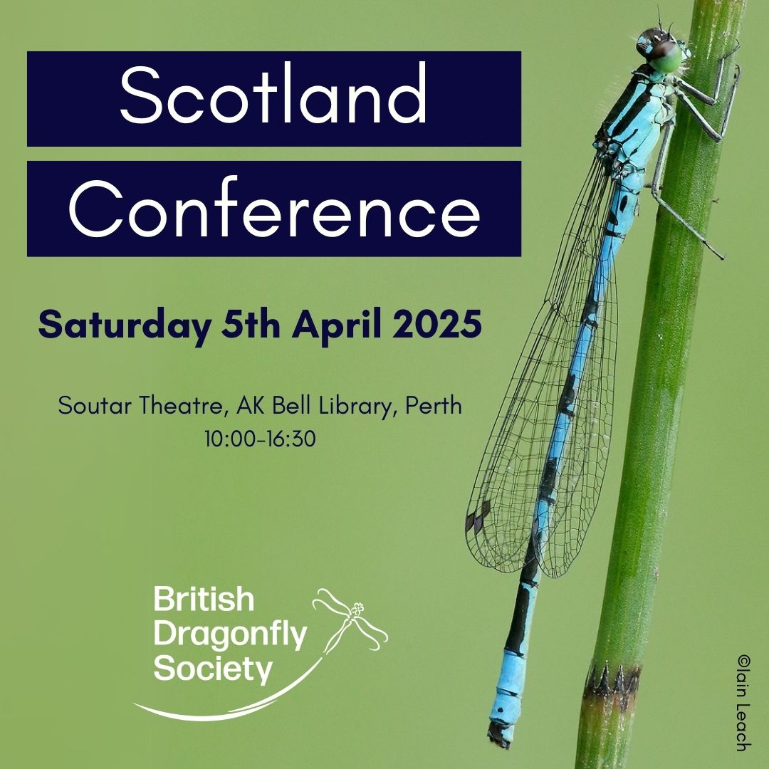 Scotland Conference 🐉🏴󠁧󠁢󠁳󠁣󠁴󠁿
Join the Scotland team on Saturday 5th April 2025, at the AK Bell Library, Perth, for an exciting day of talks and workshops. 
A brilliant opportunity to connect with like-minded dragonfly enthusiasts in Scotland💚
loom.ly/Y3w4-cc