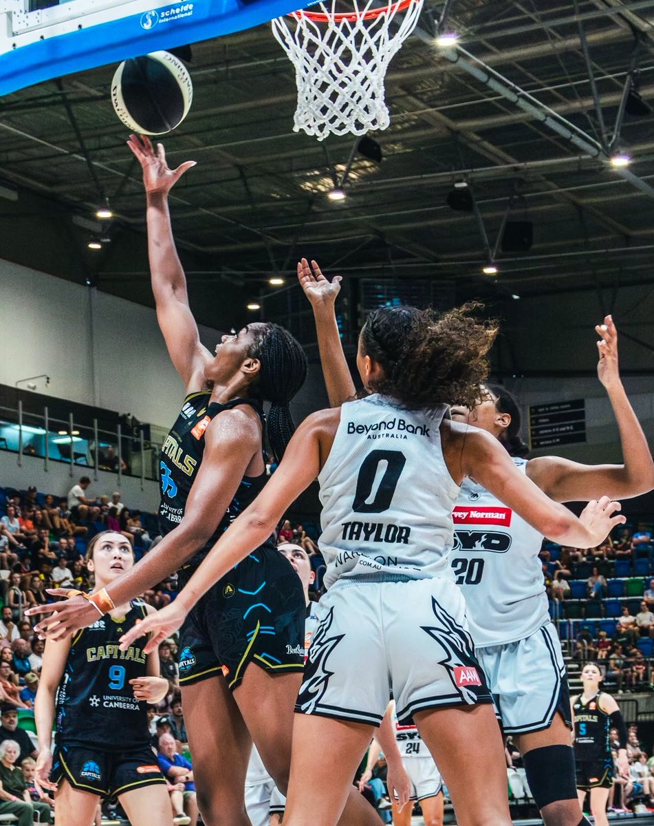 Charli Collier™ tweet media