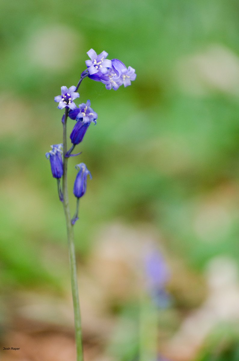 The Wildlife Trusts tweet media