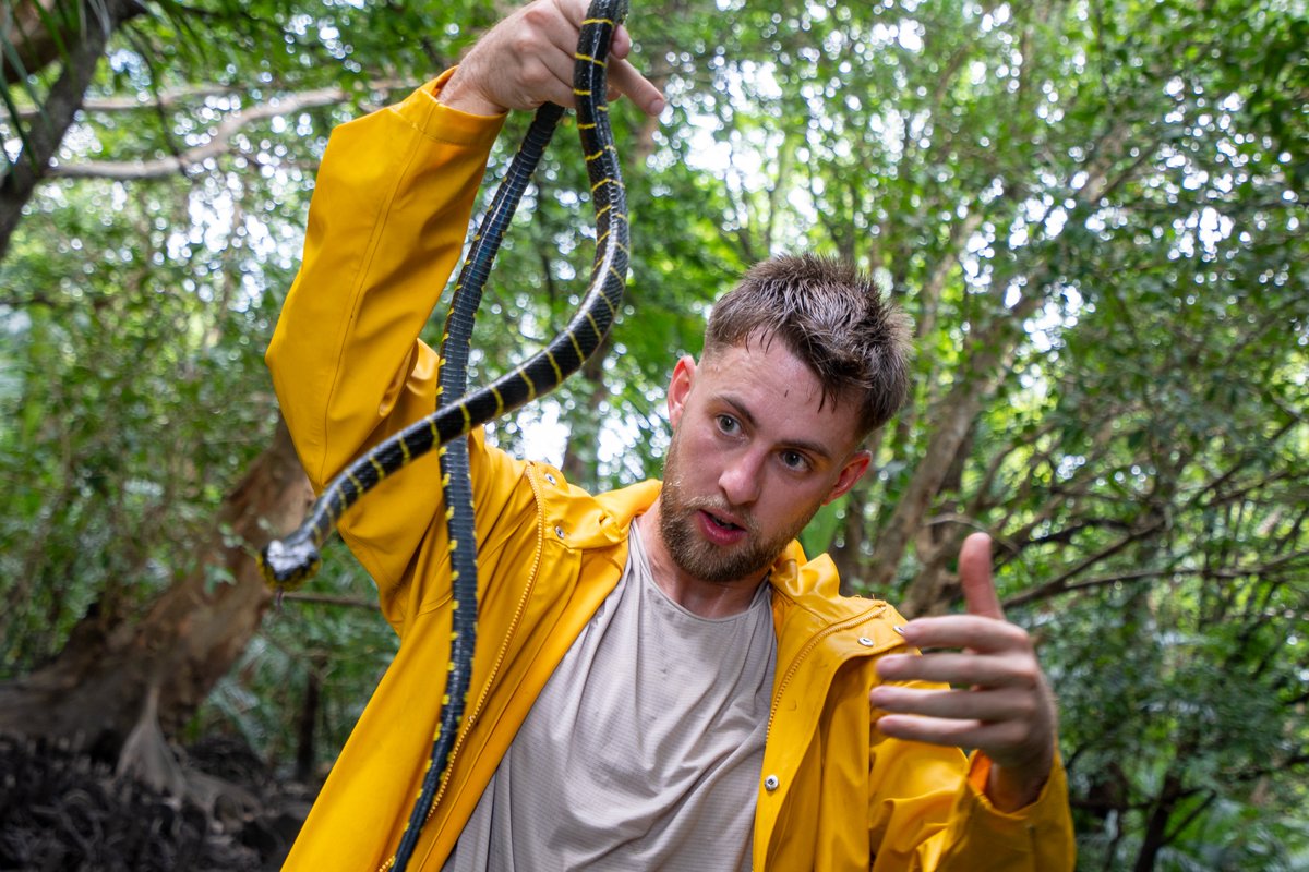 daratah's tweet image. Some of you may know I visited a certain island months ago now... And I have still not released the video...
It's the biggest and craziest video we've ever shot, and I want it to be perfect. However something did happen in this video which has made editing this an emotional…