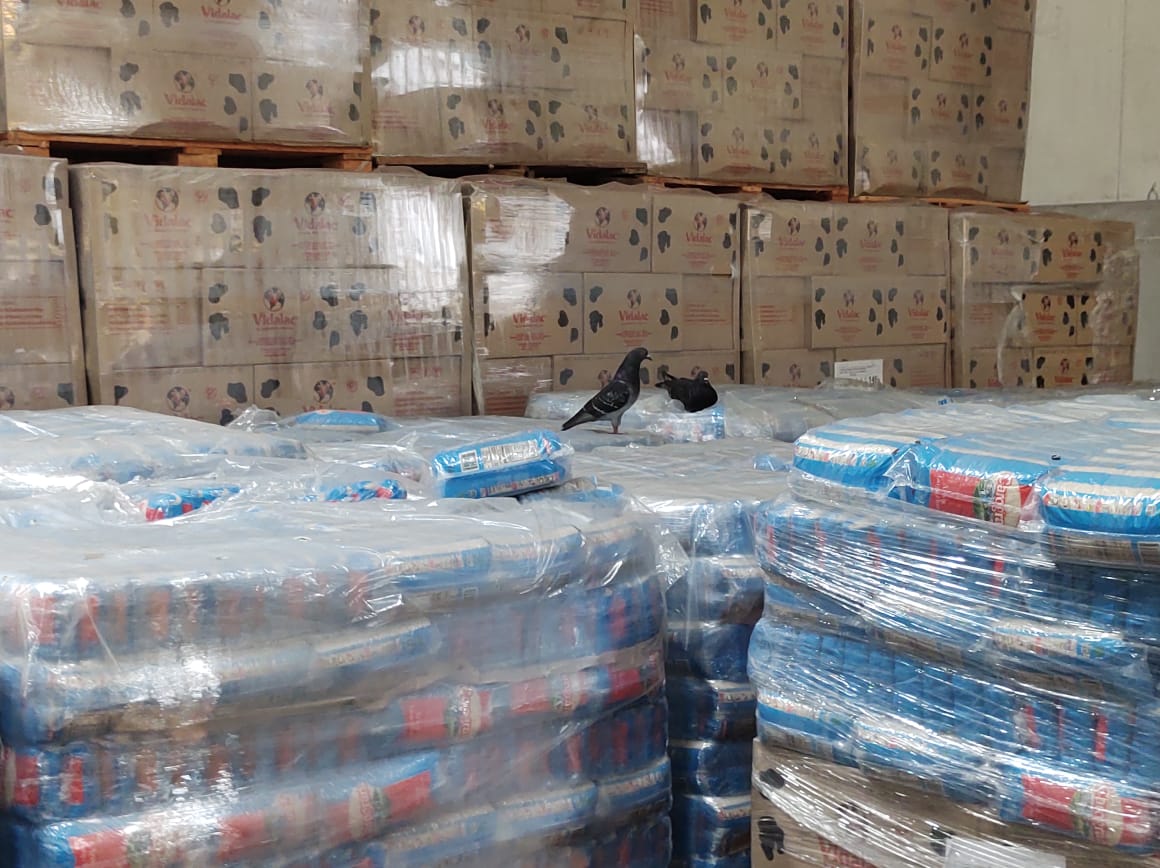 GlI8aRgXQAAr43h?format=jpg&name=medium