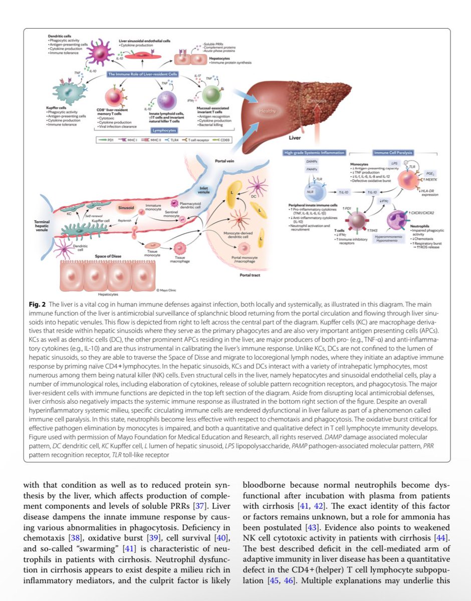 Super proud of this one: Invasive fungal infections in pts w/ liver disease in the ICU.

Major take-home points:
✅ chronic liver disease causes a complex immune dysfunction

#MedEd #liverfailure #MedTwitter #liverCC
