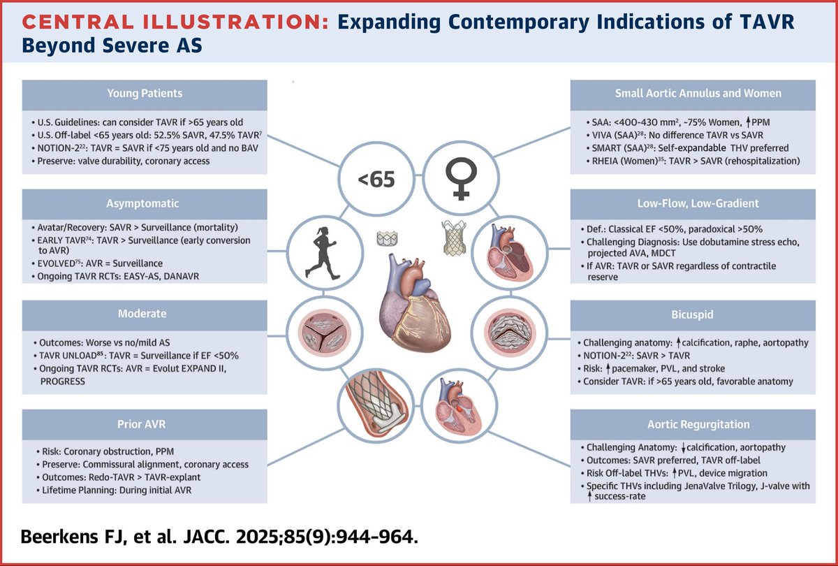 Diego Segura-Rodríguez (@seguracardio) on Twitter photo 📌Transcatheter Aortic Valve Replacement Beyond Severe Aortic Stenosis: <a href="/JACCJournals/">JACC Journals</a> #StateOfTheArt #Review
#TAVR #TAVI 📌Transcatheter Aortic Valve Replacement Beyond Severe Aortic Stenosis: <a href="/JACCJournals/">JACC Journals</a> #StateOfTheArt #Review
#TAVR #TAVI