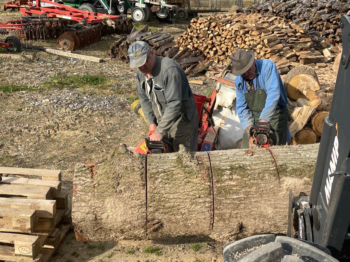 En cette belle après midi ensoleillée,j’ai partagé un moment de bonheur avec papa 90 ans heureux de m’accompagner pour tronçonner du bois afin de nettoyer les bordures de champs. Une complicité qu’il faut savoir apprécier. Rompre la solitude après le départ d’un conjoint (te).