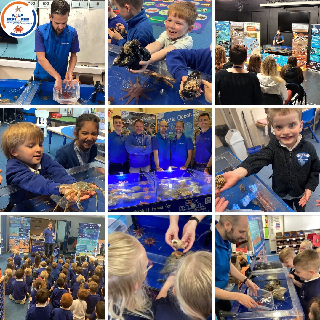 Happy World Wildlife Day! 🐟

By educating about environmental challenges that wildlife is currently facing, we aim to inspire the next generation of conservationists who will play a key role in helping our wildlife thrive for years to come.🌍

#WorldWildlifeDay #AquaExplorer