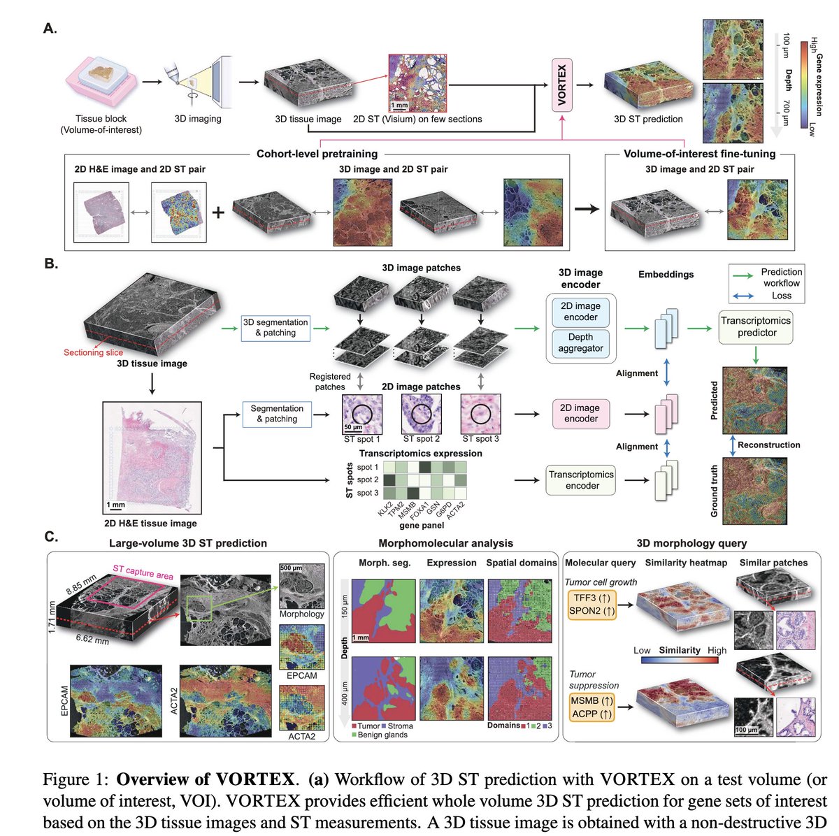 Jeffrey West tweet media