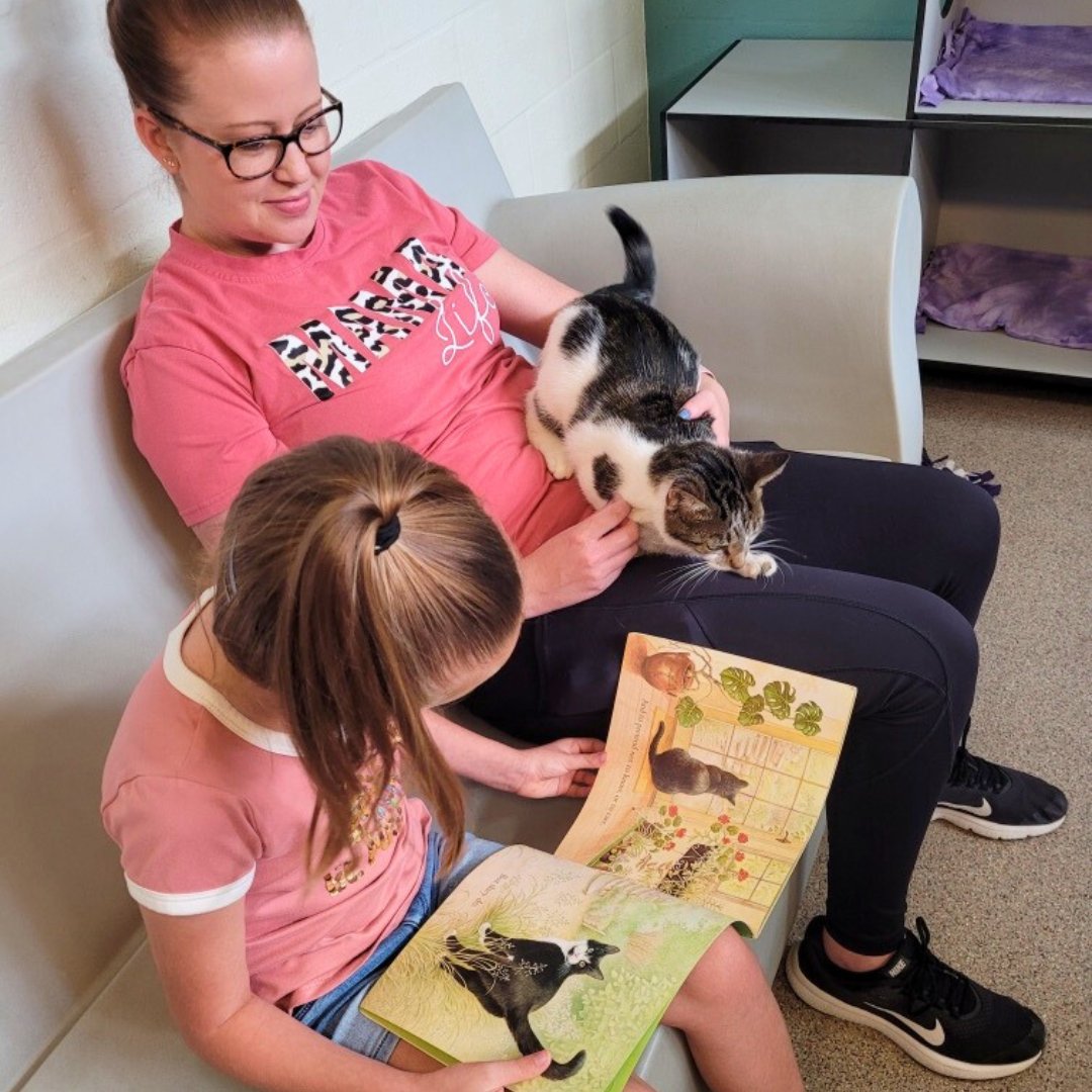 📷📷 Happy National Read Across America Day! 📷📷

Did you know our Reading to Rescues program lets kids practice their reading skills... while snuggling with some purrfect kitties waiting for their forever homes! 📷📷

bit.ly/34TAVBP