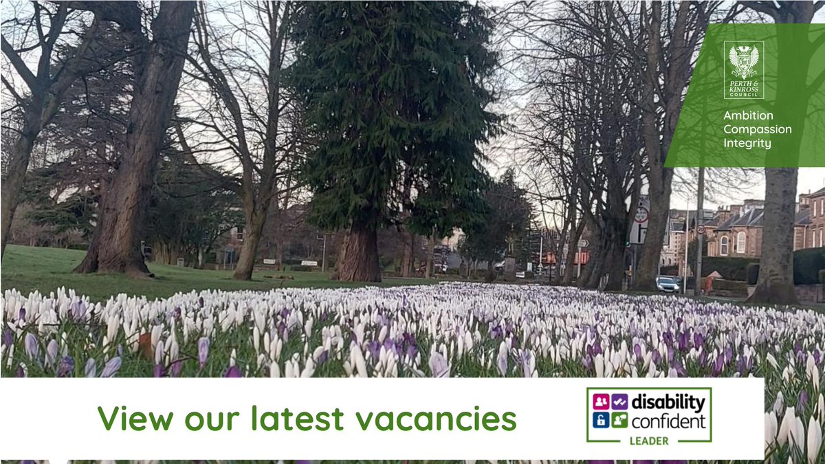 elc_pkc's tweet photo. Looking for a new challenge?
We have openings in our latest vacancies for Head Teacher, Early Years Inclusion Teachers, Teaching posts, Pupil Support Assistants, roles in Kids Clubs. Don't miss out on the chance to join #TeamPKC.
https://t.co/2uGAV1iDCZ https://t.co/K0Vbmu75bl