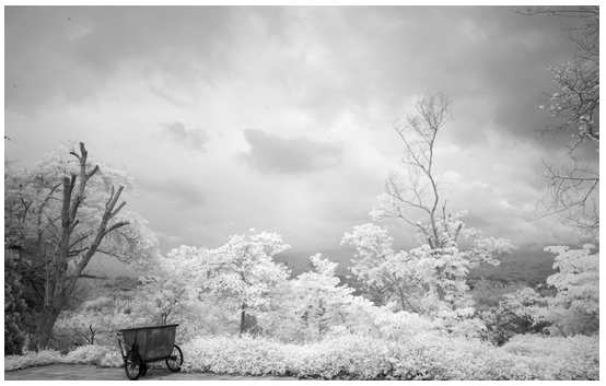 XIV Premio @BNLBNPParibas_ @miaphotofair 2025. Continuiamo a scoprire ogni giorno le opere finaliste. Oggi presentiamo “Dien Bien Phu” dell'artista Arsen Revazov 🇮🇱🇷🇺
(Courtesy <a href="/arsen_revazov/">Arsen Revazov</a> e <a href="/DeChiricoArte/">Raffaella De Chirico</a> #Milano)
#MiaPhotoFair <a href="/BNPParibas/">BNP Paribas Group</a> #photooftheday #Art #photoart #photo