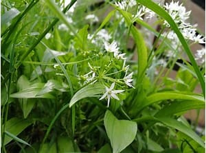 TreeHouseLearn's tweet image. Tree House Learning March 2025 Newsletter 🪢🔥 - mailchi.mp/7fc3736c662c/t…