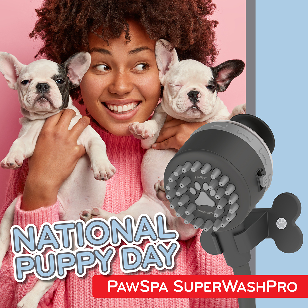 oxygenics's tweet photo. Help your puppy smell as cute as they look with the SuperWashPro! It infuses shampoo directly into the water stream for a seamless washing experience. Get yours today at @PetSmart.
https://t.co/EX86BP15We https://t.co/sLWFAnhssc