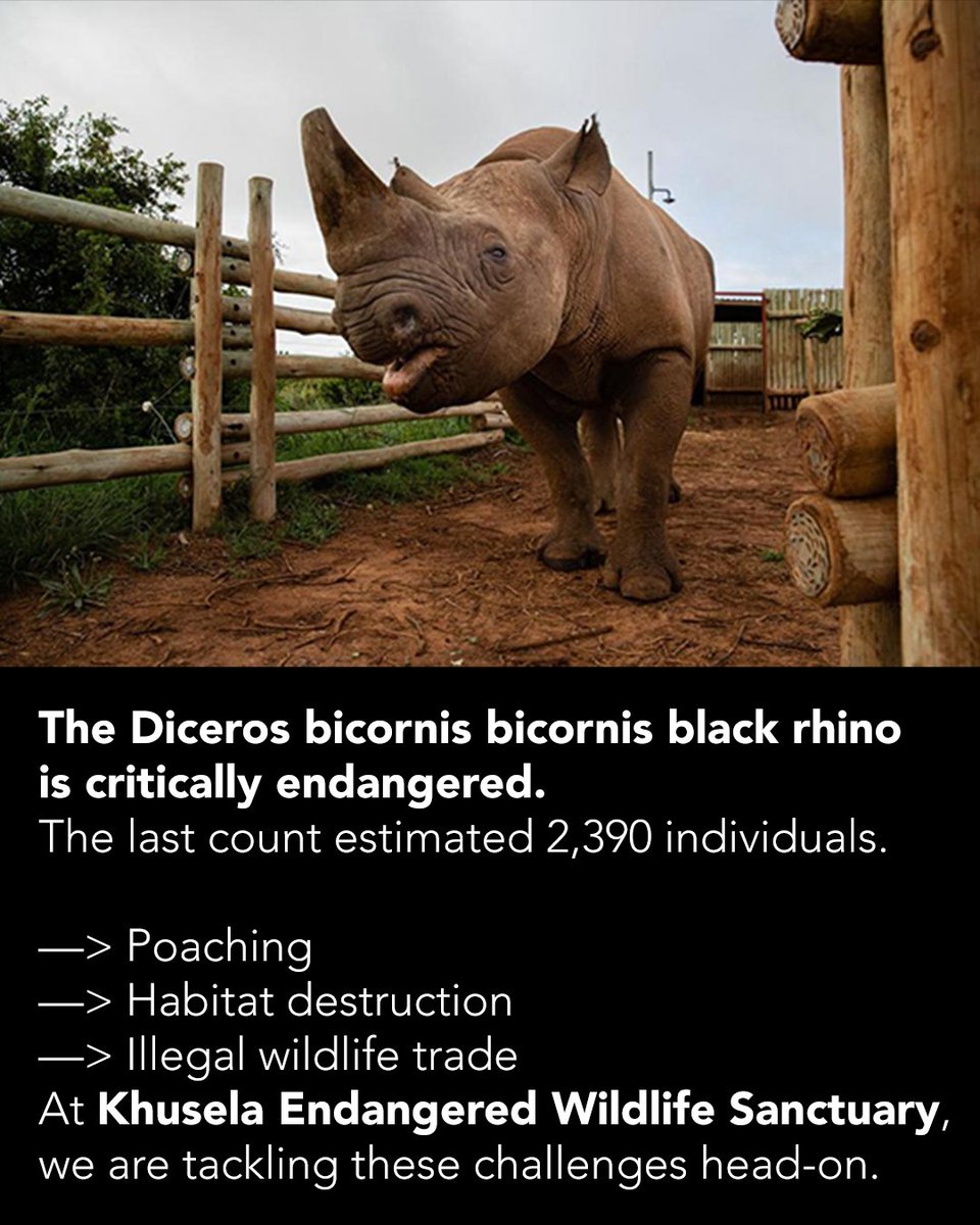 Rus etuk uy qurilishi jinsiy aloqa video