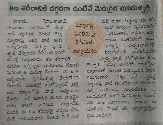 Our recent paper was profiled in a Telugu newspaper and this is a new level unlocked because I ALWAYS wanted our science to trickle down to everyone w/o a language barrier in the way! Based on <a href="/DhruvaKesireddy/">Dhruva Kumar</a>’s translation, seems like they got it spot on 👌🏼🤩