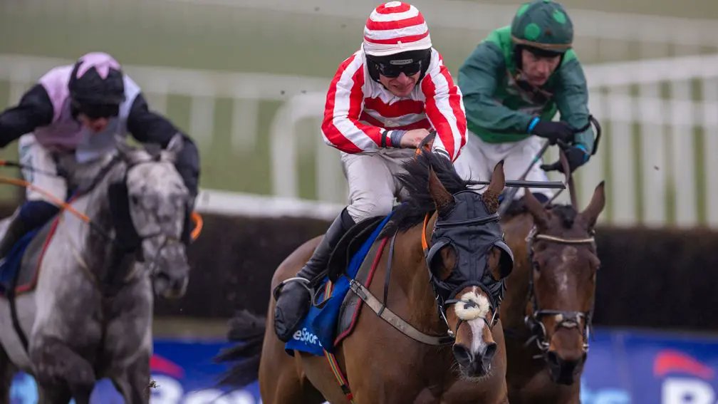 🥰 "Dreams do come true."

Giantkiller Senecia a family thrill for Calluna House Stud 👉 bit.ly/4ikNXJ3