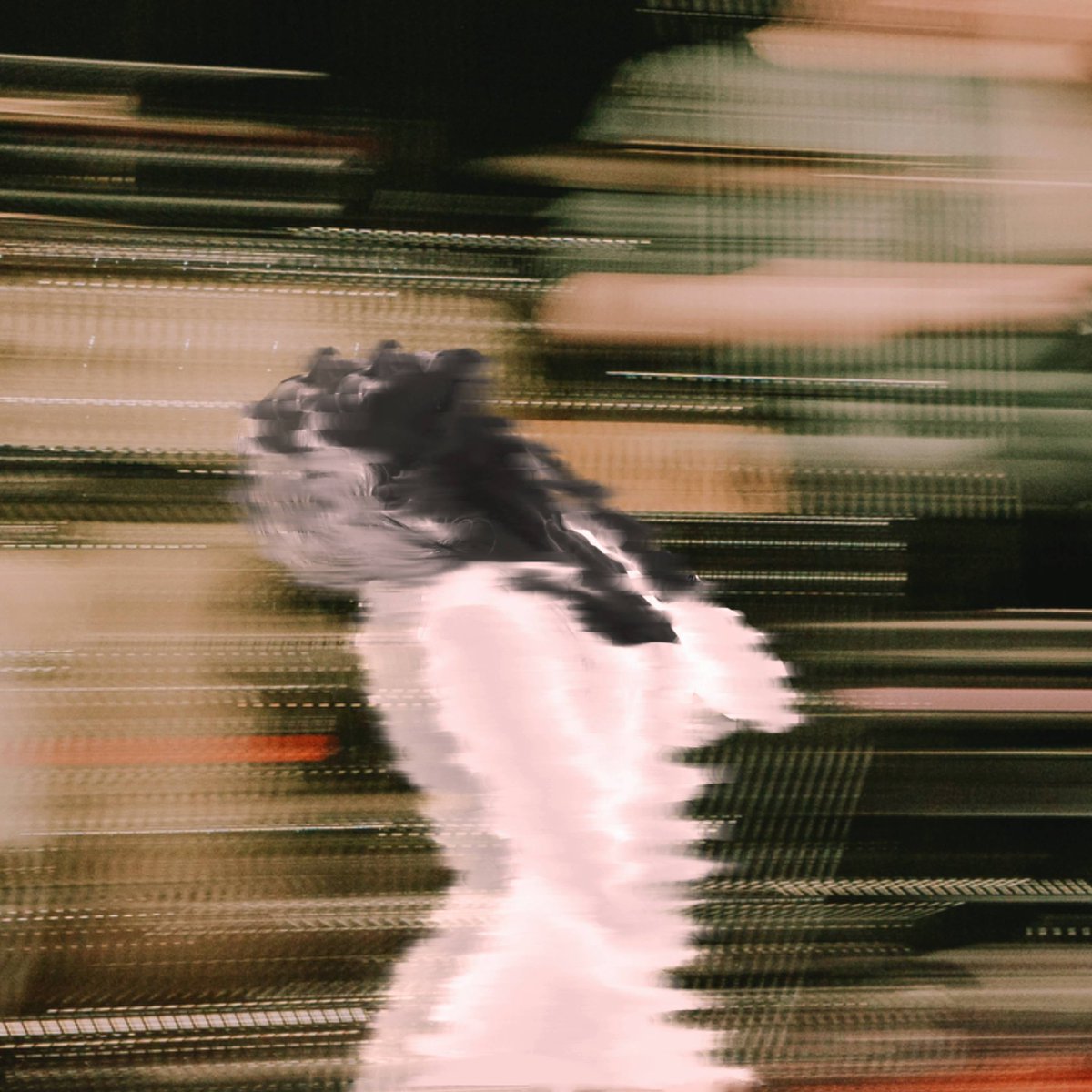 ‘For You’ 06.03.25

A new chapter begins 

Pre-Save now x
theflorentinas.lnk.to/ForYouSingle