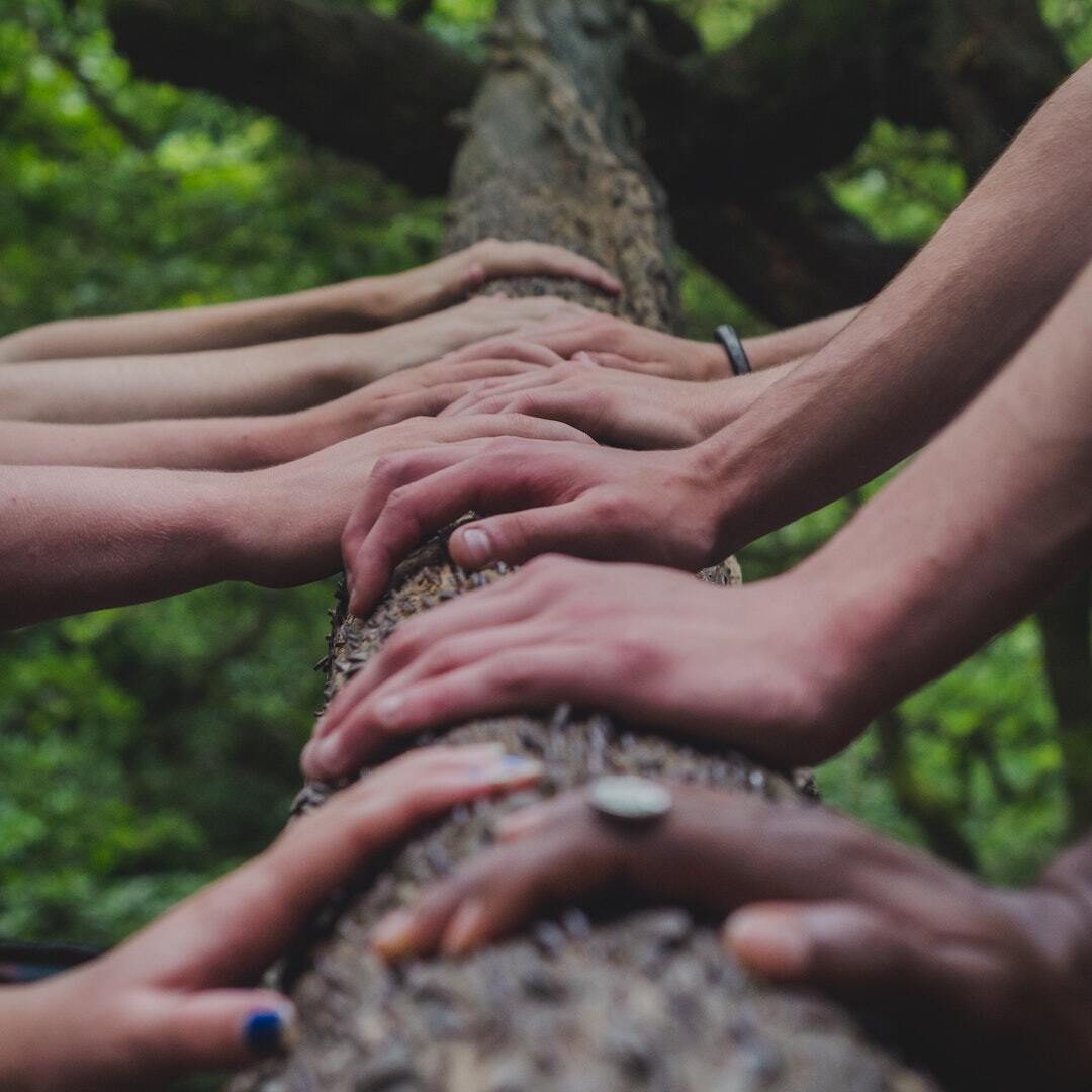 Operating as if you are the smartest person in the room puts a cap on how high you can fly.

It's easy to say, "I surround myself with people smarter than me," but acting like it and serving those people is what matters.

#marketingcampaigns #strategicmarketing #marketingdigital