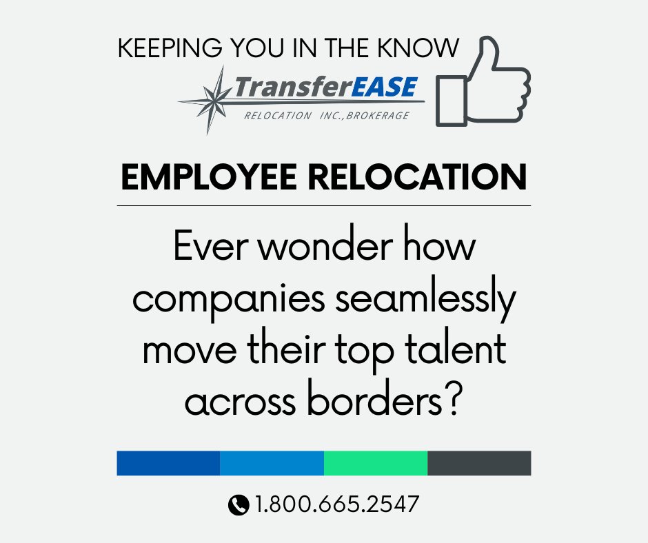 TransRelo's tweet image. 🇨🇦 🇺🇸 🇬🇧🇨🇭🇸🇬 🇳🇱 
Companies relocate employees with the help of  TransferEASE Relocation. We streamlines the process, ensuring a smooth transition for employees while minimizing disruption for employers. Call 1.800.665.2547 to get started.

#employeerelocation #global #HR