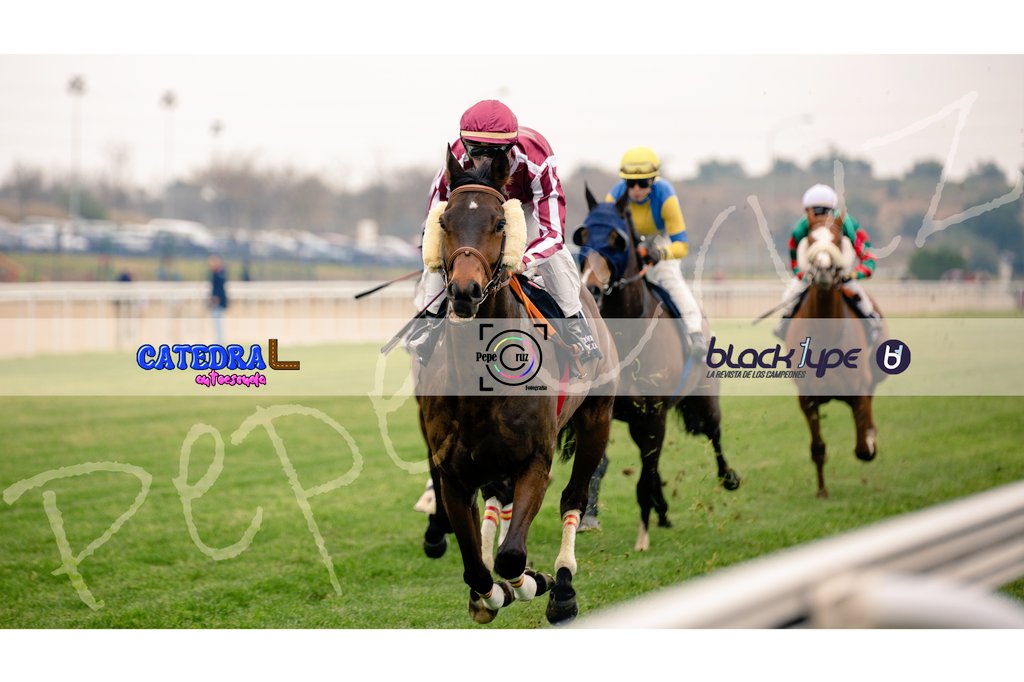 𝒀𝒂 𝒔𝒆 𝒆𝒄𝒉𝒂𝒏 𝒅𝒆 𝒎𝒆𝒏𝒐𝒔.

#fotografiadeportiva #horseracing #sportphotography