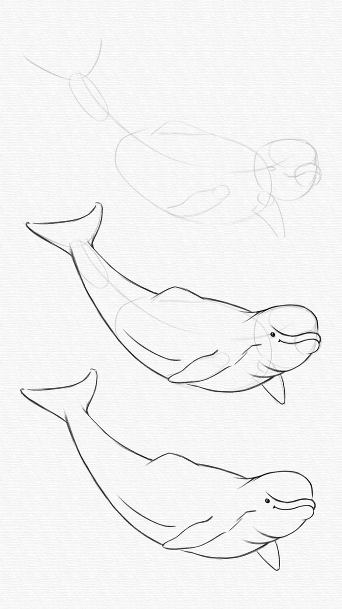 shadowdrawapp's tweet photo. Celebrate #WorldWildlifeDay2025 by #sketching your favorite animals! Whether you're a beginner or a pro, grab your #ipadpro &amp; #ApplePencil and start #drawing  today! #LearnToDraw #DrawingTutorial #sketches #art #draw #drawingart https://t.co/ev3BTrau88 https://t.co/bT5wN3Fwk5